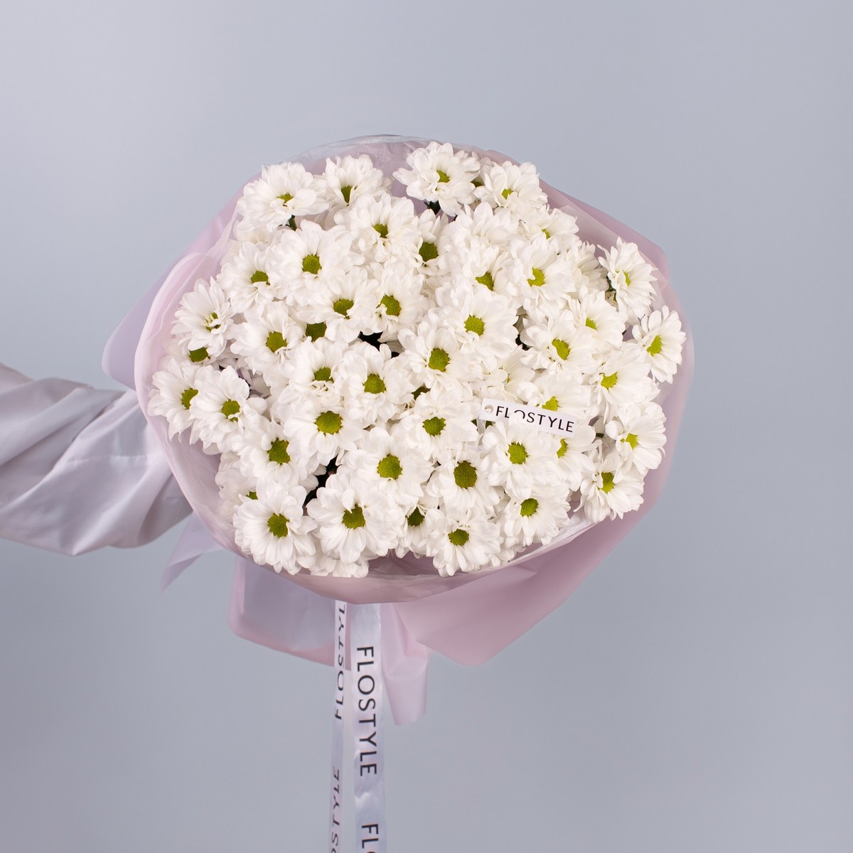 hrizantema romashka 6